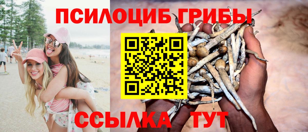 Алапаевск  Псилоцибиновые грибы мухоморы  Вход с VPN  Псилоцибиновые грибы GOLDEN TEACHER 
